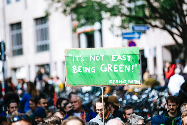It's not easy being green sign held up by crowd
