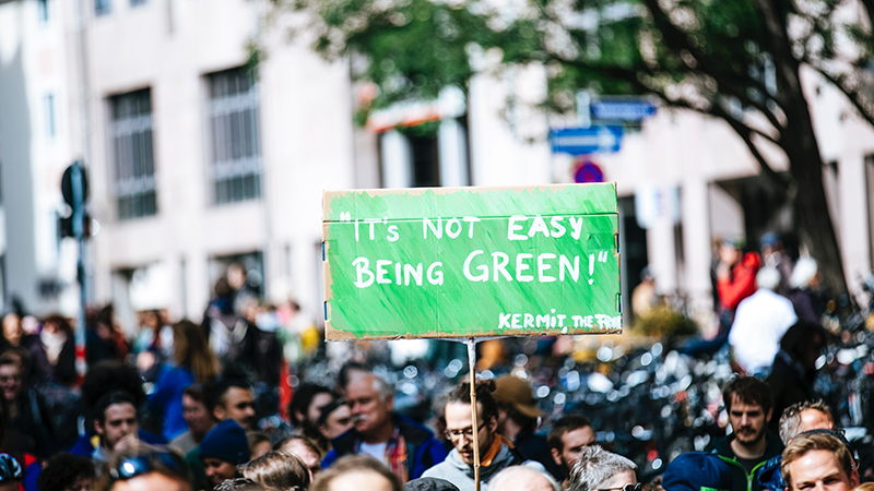 It's not easy being green sign held up by crowd